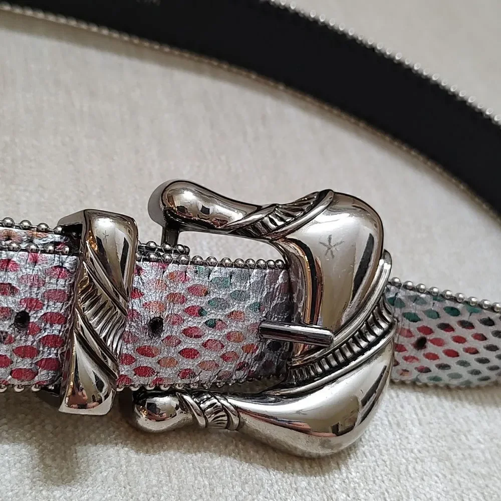 Sky Vintage Metallic Multi Colored Leather Belt Silver Buckle and Tip
